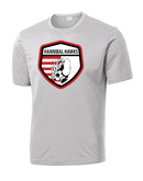 silver_design1