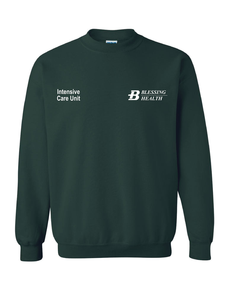 Blessing Critical Care 2024 Crewneck