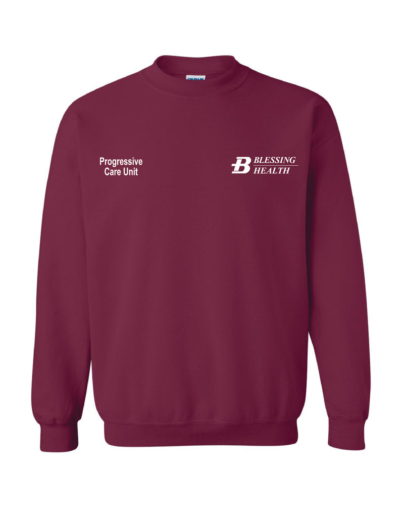 Blessing Critical Care 2024 Crewneck