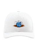 Mud Dawgz Wrestling Richardson Snapback