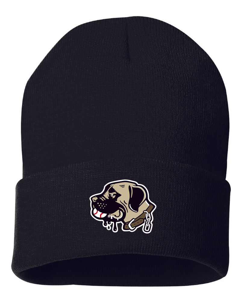 Tri-State Sandlot 2025 Beanie