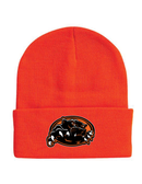 Palmyra Panthers Beanie