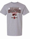 Canton District Champs 2026 T-shirt