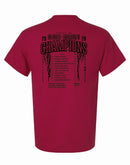 Canton District Champs 2026 T-shirt