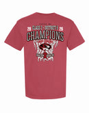 Canton District Champs 2026 Comfort Color T-shirt