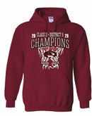 Canton District Champs 2026 Hoodie
