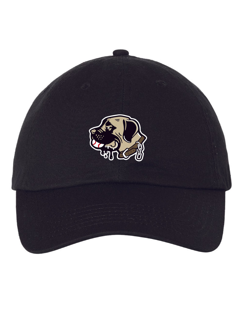 Tri-State Sandlot 2025 Softstyle Hat