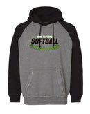 Nemo Raptors 2024 Vintage Hooded Sweatshirt