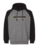 Nemo Raptors 2024 Vintage Hooded Sweatshirt