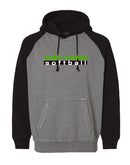 Nemo Raptors 2024 Vintage Hooded Sweatshirt