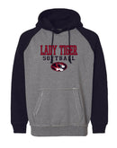 Canton Softball 2024 Vintage Hooded Sweatshirt