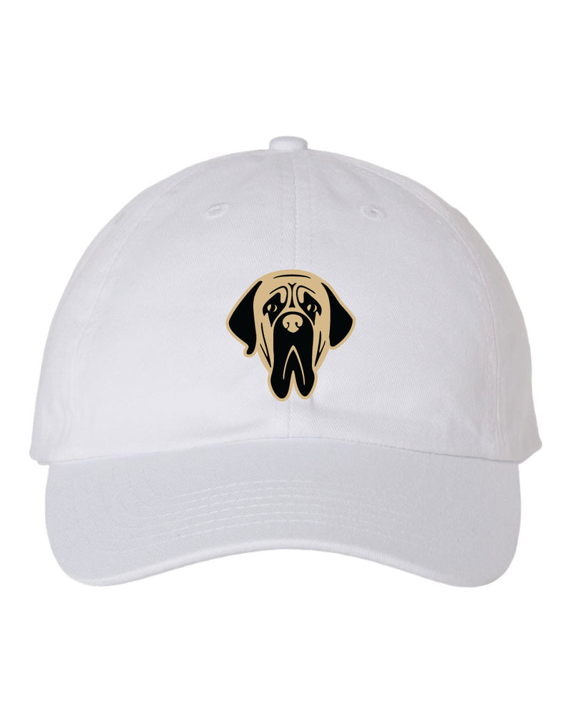 Tri-State Sandlot 2023 Softstyle Hat